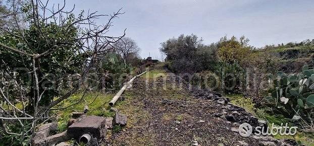 Terreno pianeggiante 6.500 mq con fabbricati - Altro