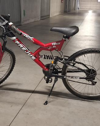 Bicicletta N. 24 Frejus