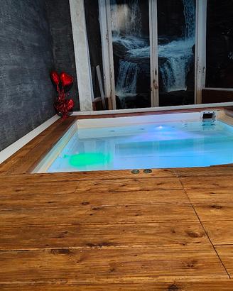 Piscina professionale 