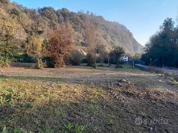 Terreno 5.000 mq