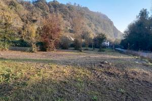 Terreno 5.000 mq