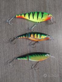 esche pesca spinning 