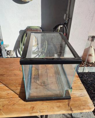 teca per rettili