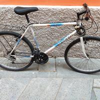 Bici Adulto