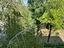 Immagine 25