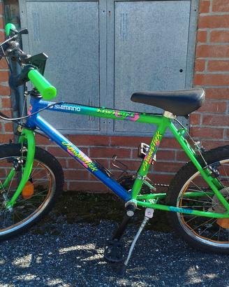 Bicicletta MTB junior Kiwi Bike 20"