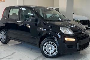 Fiat Panda Pandina 1.0 FireFly 65 CV Hybrid Icon /