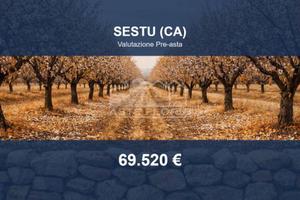 Immobile in asta di 23930 m² a Sestu