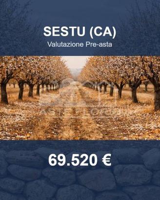 Immobile in asta di 23930 m² a Sestu