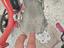 Immagine 4