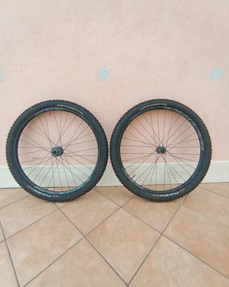 ruote MTB 29 race face ar 30 boost