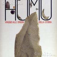Homo - Viaggio alle origini della storia