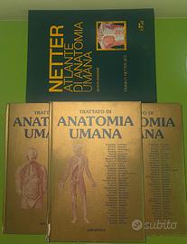 Trattato Anatomia umana( 3 VOLUMI +ATLANTIDE)