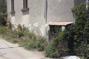 Abitazione su un livello indipendente