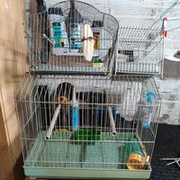 Gabbie per uccellini 