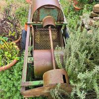 Macchina per nocciole