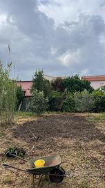 Terreno ad Antignano 80 mt dal mare