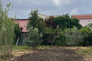 Terreno ad Antignano 80 mt dal mare