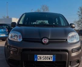 FIAT Panda 3ª serie - 2023