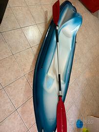 Canoa con pagaia e carrello per trasporto