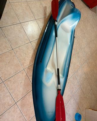 Canoa con pagaia e carrello per trasporto