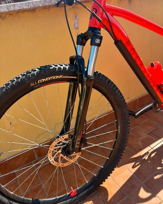 Bici MTB 29