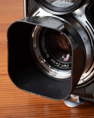 Rolleiflex paraluce Bay 1