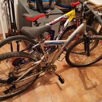 due biciclette seminuove