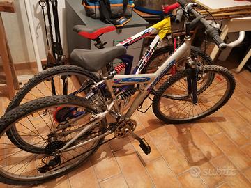 due biciclette seminuove