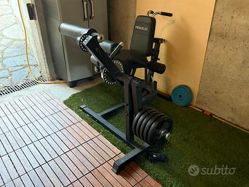 Leg curl / leg extension