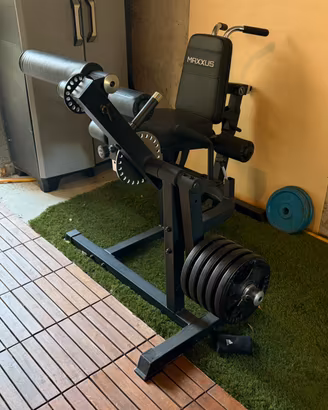 Leg curl / leg extension