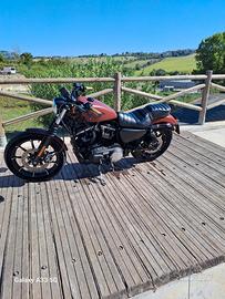 Harley-Davidson Sportster 883 - 2017
