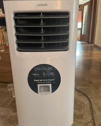 Climatizzatore pinguino della Cecotec