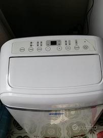 Pinguino condizionatore Carrier