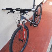 Mountain bike uomo