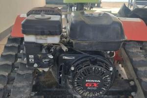 Pulisci spiaggia kobra