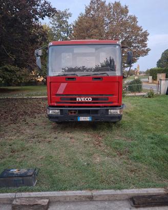 Iveco turbo 80.E 15 trasporto animali vivi