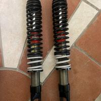 Coppia ammortizzatori posteriori