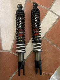 Coppia ammortizzatori posteriori