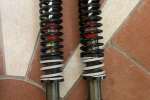 Coppia ammortizzatori posteriori