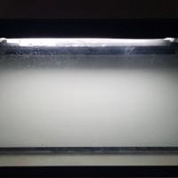 Acquario + accessori