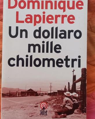 Un dollaro mille chilometri - Dominique Lapierre