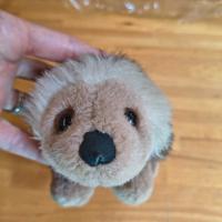 N4 peluche trudi,coniglietto,riccio,paperella,volp