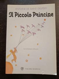 Libro "Il Piccolo Principe"
