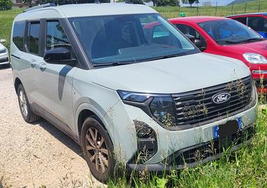 ford tourneo