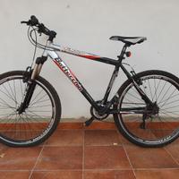 Mountain Bike Bottecchia