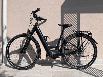 E-bike pedalata assistita