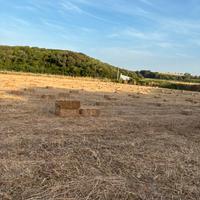 Ballette di fieno seminato