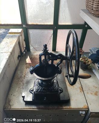 Antico Macinacaffè a Volano FACIS Torino - Vintage