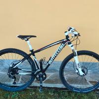 Mtb Bottecchia 29